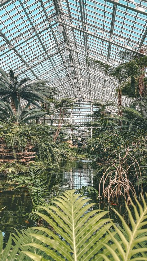 alanainwanderland on Instagram: Wayyyy better than giving a bouquet, take your love to #Chicago’s @gpconservatory! 💚🌴🌿 Garfield Park Conservatory is a true Chicago hidden… Garfield Conservatory Chicago, Garfield Park Conservatory, Chicago Aesthetic, Travel Pins, Travel Bucket List, Travel Bucket, Bucket List, Plant Leaves, Chicago