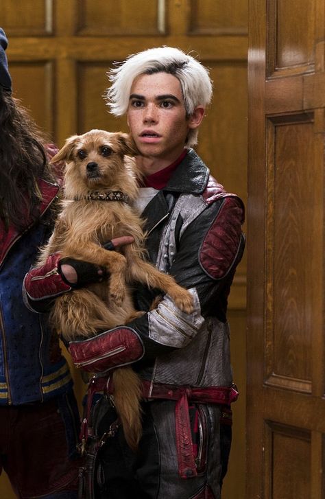 El Actor de Disney Camerón Boyce muere a los 20 años – nosotros-los-diseñadores Carlos Descendants, Luke Ross, Cameron Boyce Descendants, Mal Bertha, Descendants Pictures, Cameron Boys, Disney Descendants Movie, Harry Hook, Mal And Evie