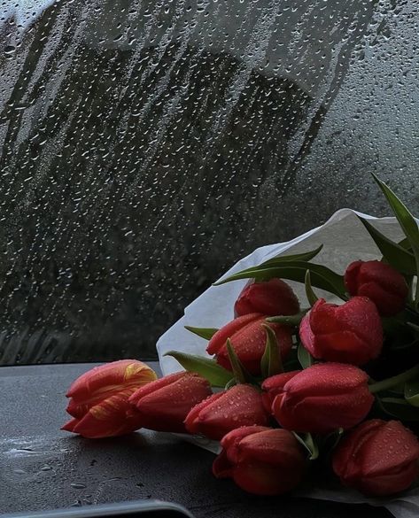 Rainy Day Aesthetic, I Love Rain, No Rain No Flowers, Love Rain, Nothing But Flowers, Winter Love, Flower Therapy, Autumn Scenery, Red Tulips