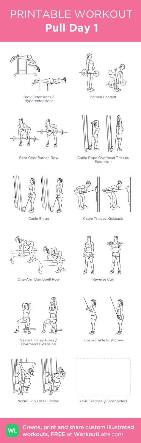 Pull Day 1 : my visual workout created at WorkoutLabs.com • Click through to customize and download as a FREE PDF! #customworkout Pull Day Cable Workout, Pull Day Exercises Gym Women, Pullday Workout Women, Push Day Cable Workout, Pull Day Women, Pull Day For Women, Cable Pull Workout, Lower Body Pull Exercises, Pull Exercises Gym