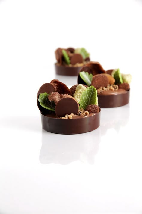 Chocolate And Mint Desserts, After Eight Dessert, Elegant Desserts Beautiful, Luxury Desserts, Chocolate Cake Toppers, Mint Desserts, Dark Chocolate Mint, Green Desserts, Fine Dining Desserts