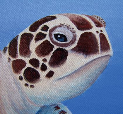 How To Paint A Turtle On Canvas, Sea Turtle Painting Acrylic Easy, Paint A Sea Turtle, Turtle Painting Acrylic, Draw On Canvas, Painted Turtles, Outdoor Mural, Camp Projects, Sea Turtle Painting