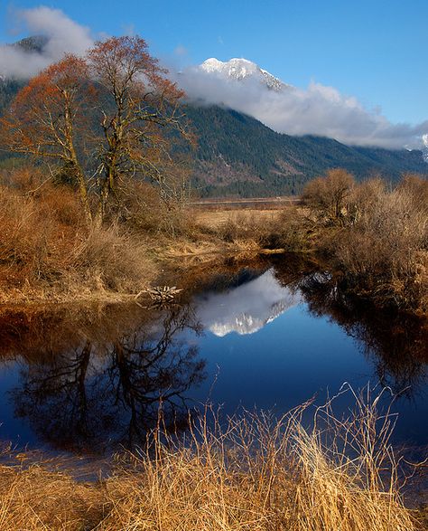 Maple Ridge Coastal Mountains, Canada Places, Vancouver City, Fraser River, Maple Ridge, Beautiful Canada, Eastern Canada, Fraser Valley, O Canada