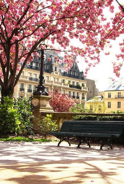 Scenes of Paris Paris In Spring, Spring In Paris, Springtime In Paris, Paris Travel, Pretty Places, France Travel, Vacation Spots, Dream Vacations, Beautiful World