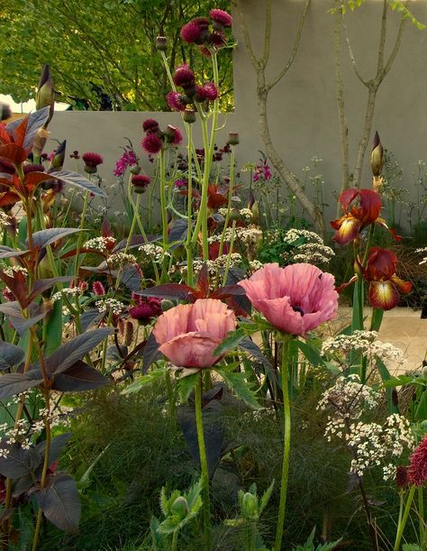 Sarah Price, Pallet Garden, Have Inspiration, Flower Landscape, Chelsea Flower, Chelsea Flower Show, City Garden, Garden Borders, Epsom Salt