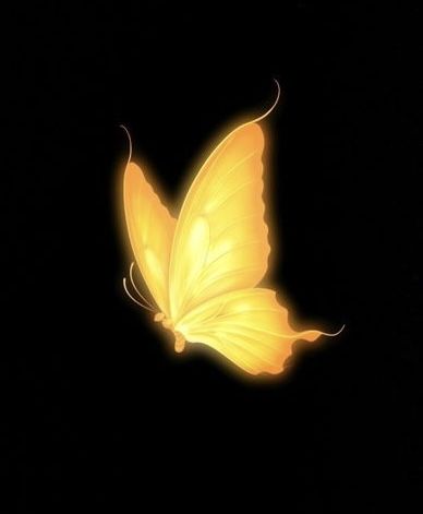 Butterfly Overlay, Yellow Overlay, Apple Galaxy Wallpaper, Glowing Butterflies, Glowing Butterfly, Tattoo Studio Interior, Tales Of Symphonia, Moon Stars Art, Indian Wedding Invitation Card Design