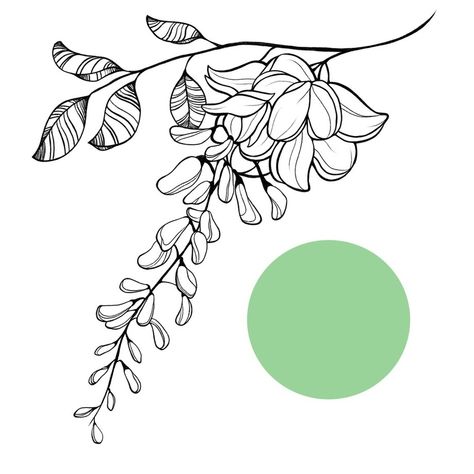 Wisteria Tattoo, Ivy Tattoo, Wisteria Design, Line Art Tattoos, Foot Tattoo, Tree Tattoo, S Tattoo, Wisteria, Leg Tattoos