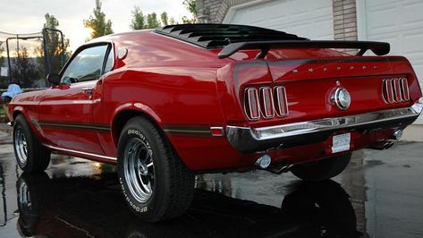 1969 Mustang Fastback, 1969 Mustang Mach 1, Mach 1 Mustang, Auto Ford, 1969 Mustang, 1973 Mustang, 1969 Ford Mustang, Ford Mustang Car, Mustang Mach 1