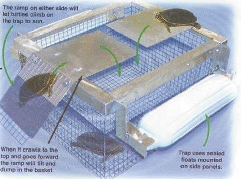 Turtle Trap Turtle Traps, Crawfish Traps, How To Make Traps, Fishing Traps, Solar Pond, Fish Feeders, Pond Aerator, Fishing 101, Diy Pond