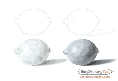 Lemon Pencil Drawing, Lemon Drawing Realistic, How To Draw A Lemon, Draw Lemon, Lemon Sketch, Drawing Lemon, Lemon Drawing, Sketching Tips, How To Shade