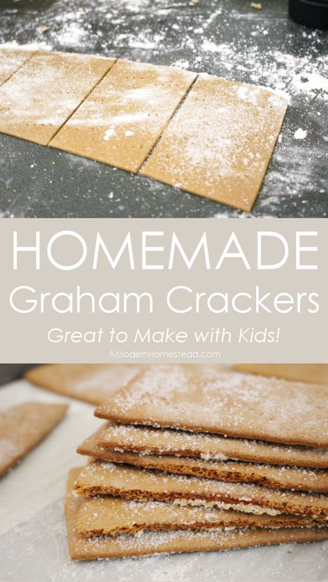 These homemade graham crackers are an easy and fun project to make with kids! The dough comes together very easily, and can be rolled out by even the tiniest hands! Homemade Organic Snacks, Foods To Make Homemade, All Natural Meals, Einkorn Graham Crackers, Food To Make With Flour, Homemade Snacks To Sell, Homemade Kitchen Staples, Easy Homemade Snacks Simple, Cheap Homemade Snacks