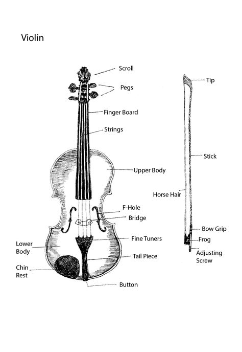 Parts of the Violin-Tracie Noles-Ross Janine Jansen, Violin Scroll, Violin Teaching, Violin Parts, Learn Violin, Violin Lessons, Violin Sheet, Violin Sheet Music, Unit Study