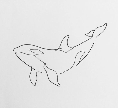 Tattoo Line Art, Orca Tattoo, Tattoo Line, Whale Tattoos, Line Art Drawings, Style Art, Line Art, Tattoo Designs, Art Drawings