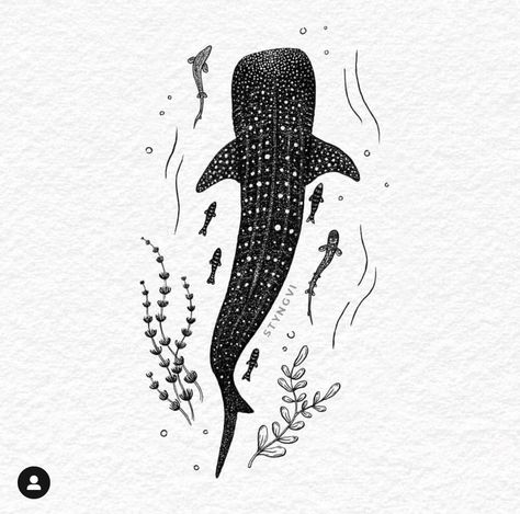 Zoology Tattoo, Whale Shark Tattoo Design, Whale Shark Painting, Whale Shark Tattoo, Tattoo 2022, Nature Tattoo Ideas, Shark Whale, Cool Nature, Shark Drawing