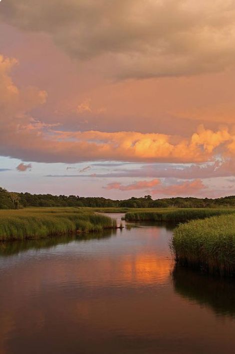 Stormy Sunset, Salt Marsh, Pretty Sky, Chiaroscuro, Sunset Sky, Nature Aesthetic, Pretty Places, The Horizon, Heaven On Earth