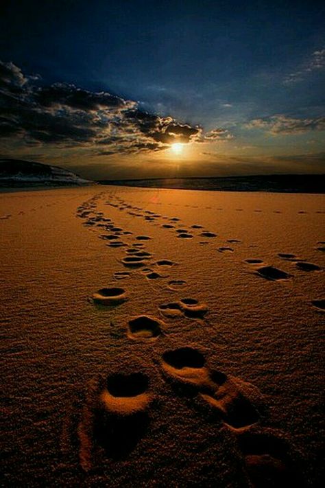 Footprints In The Sand, Beautiful Sunrise, Jolie Photo, Beautiful Sunset, The Sand, Beautiful Photography, Nature Pictures, Beach Life, Sunrise Sunset