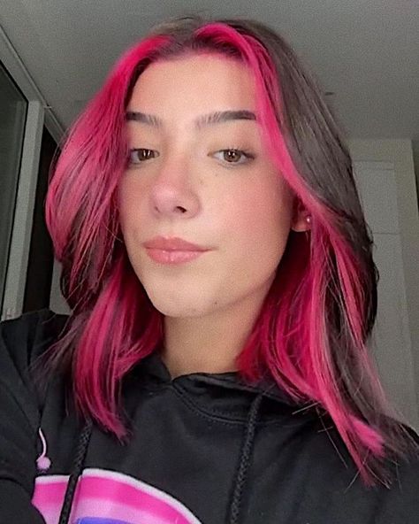 Charli damelio 🍨 | Hair color underneath, Under hair dye, Pink underneath hair Halo Hair Color, Pink Underneath Hair, Halo Hair Colors, Half Colored Hair, Under Hair Dye, Underdye Hair, Under Hair Color, Hair Dyed Underneath, Pink Hair Streaks