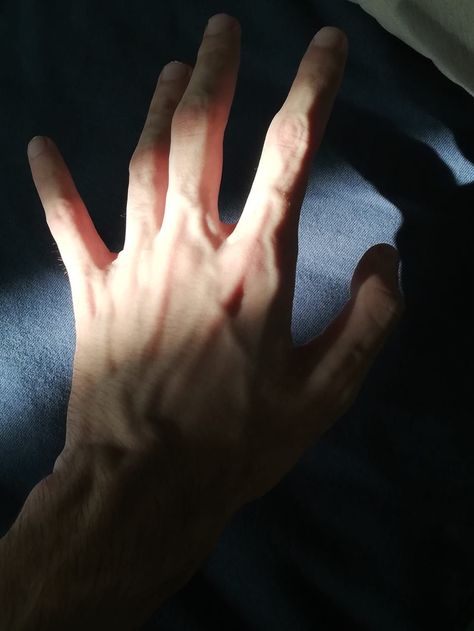 Arm Veins, Veiny Hands, Home Remedies For Spiders, Hand Veins, Boyfriend Stuff, Theodore Nott, Under The Skin, Current Obsession, Hand Drawing Reference