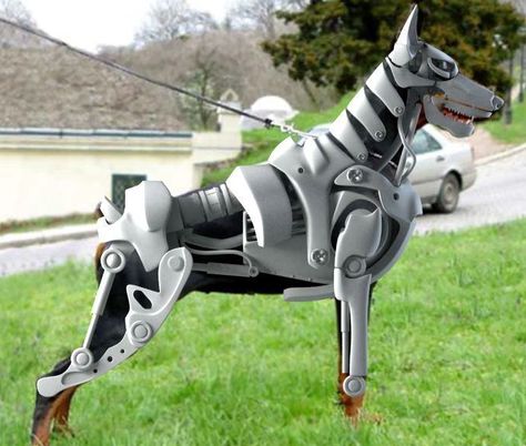 Mechanical Doberman Costume Doberman Costumes, Halloween Costumes For Dogs, Best Dog Costumes, Costumes For Dogs, Amazing Halloween Costumes, Robot Animal, Doberman Love, Pet Halloween Costumes, Doberman Dogs