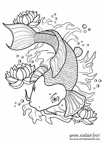 Koi fish in a pond coloring page - Print. Color. Fun! Koi Fish Colors, Fish Outline, Koi Tattoo Design, Fish Coloring, Coy Fish, Koi Fish Drawing, Fish Coloring Page, Koi Tattoo, Koi Fish Tattoo