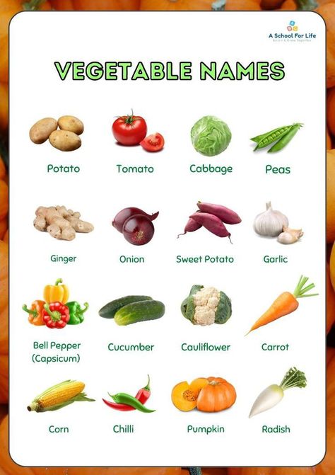 Free Printable Vegetable Pictures, File Cover Decoration Ideas Project School, Fruits And Vegetables Names, Vegetables Names With Pictures, Vegetables Printable, Vegetables Flashcards, Vegetables Name, English Preschool, Name Of Vegetables