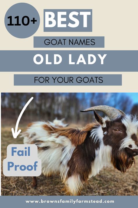 Nigerian Dwarf Goat Goat Names, Good Girl Names, Themed Names, Old Lady Names, Goat Life, Cow Names, Bougie Girl, Exotic Names, Nature Names