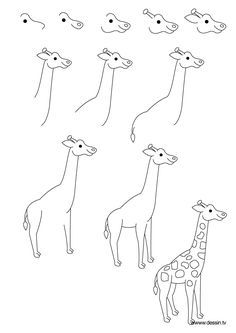 how to draw a giraffe Grasslands Biome, Easy Giraffe Drawing, How To Draw Nature, Giraffe Nails, Safari Nails, Tracing Pictures, Draw Nature, Fun Drawing Ideas, Giraffe Crafts