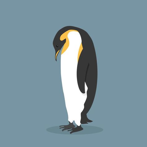 Emperor Penguin Tattoo, Penguin Vector, Penguin Tattoo, Penguin Illustration, Penguin Drawing, Emperor Penguin, Design Element, Easy Drawings, Penguins