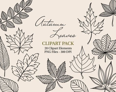 Maple Leaf Sketch, Hot Air Balloon Clipart, Hand Drawn Doodles, Contour Art, Leaves Doodle, Leaves Clipart, Hand Drawn Leaves, Balloon Clipart, Leaf Silhouette