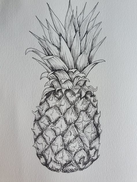 Pineapple Ink Drawing, Pineapple Pencil Drawing, Pineapple Design Art, Pineapple Drawing Simple, How To Draw A Pineapple, Pineapple Sketch, Bush Drawing, Hatch Art, Pineapple Drawing