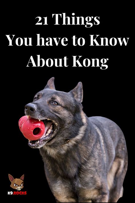 Do you ever think of having lots of treats on hand for your puppy? Whether you’re a new dog mom or dad looking for toys for your puppy, or a longtime pet parent hoping to spice things up with a new KONG for your large dog or small dog, we’ve got the ultimate guide to the different types of KONG toys and how to use them, as well as KONG recipes and more. How To Stuff Kong Toy, How To Stuff A Kong Toy, What To Put In A Kong Toy, Kong Recipes For Puppies, Kong Filling Ideas, Kong Treats, Kong Recipes, Dog Boarding Facility, Boarding Facility