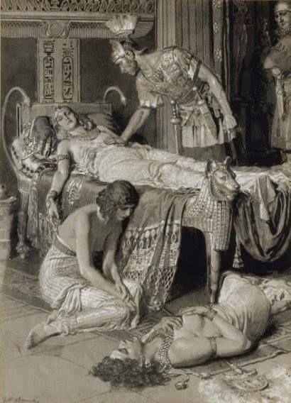 Cleopatra History, Fortunino Matania, Cleopatra Art, Ancient Egypt Aesthetic, Egypt Aesthetic, Game Of Thrones Costumes, Queen Cleopatra, Ancient Egypt Art, Egypt History