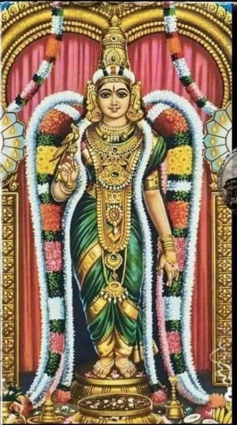 Goddess Meenakshi devi Goddess Meenakshi, Parvati Mata, Devi Images, Devi Images Hd, Shakti Goddess, Tanjore Painting, Aesthetic Pastel, Durga Maa, Fruit Garden