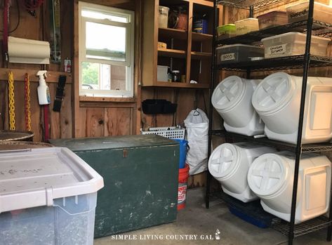 Keeping feed fresh and free of mice can be tricky on a homestead. Let's face it, any feed especially chicken feed is expensive so keeping it fresh is a big part of a hobby farm. These feed storage container ideas is a good place to start before you invest money in feed storage and set up your feed room. #feedstorage #chickenfeed #chickenfeedbin #chickencoop Feed Storage Ideas, Livestock Food Storage, Storage Container Ideas, Barn Organization Ideas, Horse Feed Storage, Horse Feed Room, Feed Room, Livestock Shelter, Hay Storage