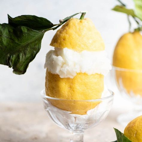 Amalfi Lemon Sorbet Ice Cream In Lemon, Lemon Sorbetto Recipe, Amalfi Lemon Sorbet, How To Make Lemon Sorbet, Amalfi Dessert, Italian Lemon Desserts, Limoncello Party, Amalfi Party, Lemon Sorbet Recipe