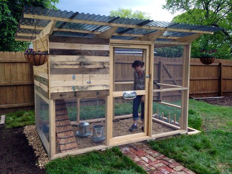 Coops Chicken Coop Out Of Pallets, Reban Ayam, Cheap Chicken Coops, Chicken Coop Pallets, Small Chicken Coops, Easy Chicken Coop, Chicken Coop Garden, Chicken Barn, Backyard Chicken Coop Plans