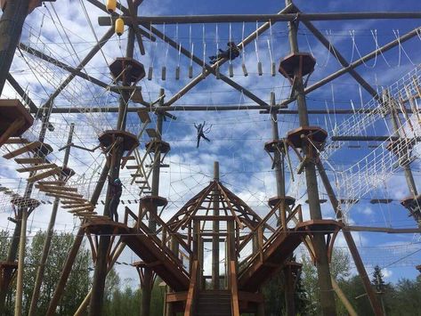 High Trek Adventures: Seattle's Largest Ropes Course and Zipline Park Zip Lining Adventure, High Ropes, High Ropes Course, Outdoor Play Structures, Adult Playground, Challenge Course, Bouncy House, Ropes Course, Zip Line