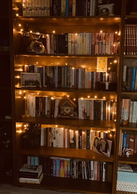 Dark Bookshelves Aesthetic, Big Bookshelf Aesthetic, Bookshelf Aesthetic Dark, Library Bedroom Aesthetic, Vintage Bookshelf Aesthetic, Cozy Library Room Ideas, Dark Library Aesthetic, Cool Bedroom Ideas For Men, Tiny Library Room