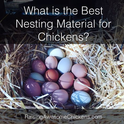 What is the Best Nesting Material for Chickens? - Raising Awesome Chickens What To Put In Chicken Nesting Boxes, Bio Pod For Chickens, Nesting Pads For Chickens, Chicken Beds Nesting Boxes, Nesting Box Bedding For Chickens, Diy Nesting Pads For Chickens, Roll Out Nesting Boxes Diy, Chicken Nesting Box Ideas, Nesting Box Ideas