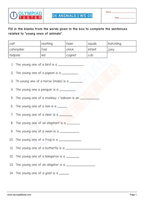 Third Grade Science Worksheets, Olympiad Exam, 2nd Grade Reading Worksheets, States Of Matter Worksheet, Mental Maths Worksheets, Dictionary Skills, Reading Comprehension For Kids, Matter Worksheets, Holiday Worksheets