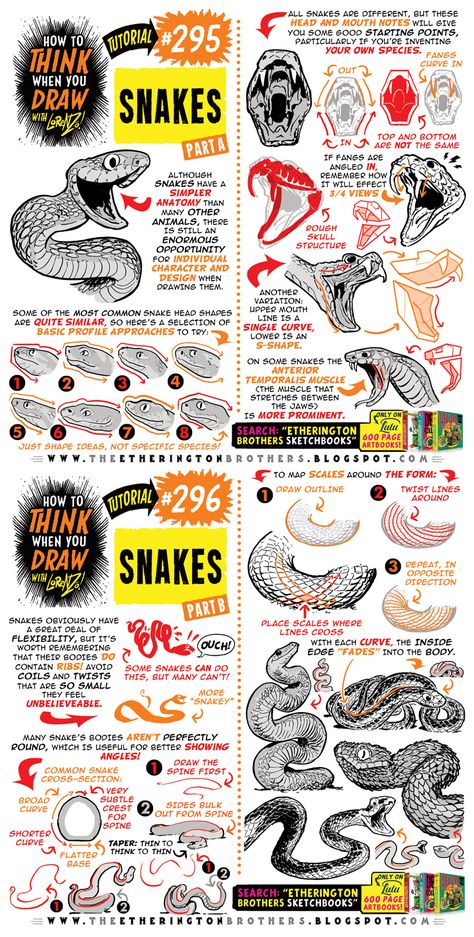 Animal Tips, Etherington Brothers, Drawing Basics, Sketch Reference, Drawing Challenges, Snake Drawing, Comic Tutorial, Draw Manga, How To Think