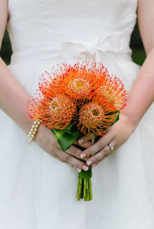 Orange Wedding Ideas - Pincushion #Protea - These South African flowering plants remind us of fireworks! {Watanabe Floral, Inc} South African Flowers, Pincushion Protea, Orange Bridal Bouquet, Protea Wedding, Protea Bouquet, Protea Flower, Bouquet Arrangements, Peach Wedding, Flowering Plants