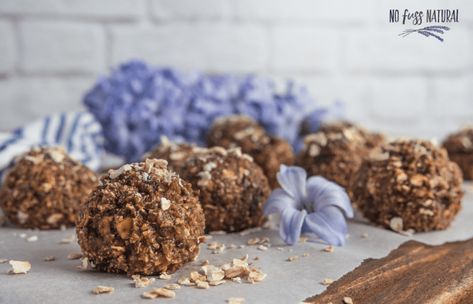 Dark Chocolate Blueberry Oat Protein Balls - No Fuss Natural Protein Energy Balls, Chocolate Protein Bites, Reflux Recipes, Daily Protein, Alkaline Diet Recipes, Blueberry Oat, Plant Based Protein Powder, Flax Seed Recipes, Protein Bites