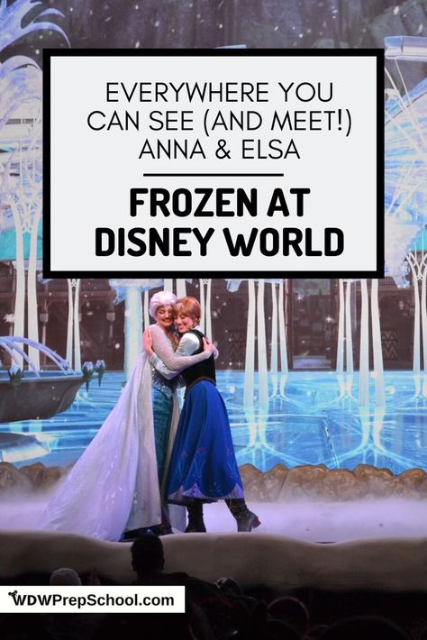 Epcot Tips, Magic Kingdom Tips, Disney World Birthday, Disney World Princess, Disney World Transportation, Elsa And Olaf, Wdw Prep School, Disney Frozen Birthday, Anna Disney