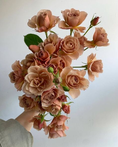 Muted Color Flowers, Neutral Fall Florals, Wedding Flower Color Schemes, Earth Tone Wedding Flowers, Toffee Flowers, Rust Ranunculus, Flower Crafts Diy, Earth Tone Flowers, Decoration Ideas With Paper