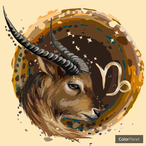 Capricorn Pictures, Creepy Cute Fashion, Capricorn Art, Capricorn Tattoo, Zodiac Signs Capricorn, Zodiac Art, Zodiac Capricorn, Creepy Cute, Art Portfolio