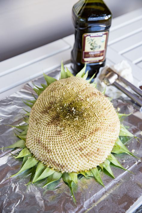 Cooking Sunflower Head, How To Roast Your Own Sunflower Seeds, Eating Sunflower Head, Roasted Sunflower Head, Sunflower Recipes Food, How To Cook Sunflower Seeds, Grilled Sunflower Head Recipe, Roast Sunflower Seeds Oven, Sunflower Head Recipe