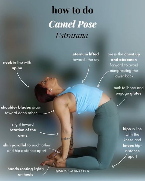 Did you know? 🐪 Camel pose (Ustrasana) is not just a backbend—it’s a heart-opener that can help release stored emotions and improve your posture! 🌟 By stretching the chest, shoulders, and thighs, it also stimulates the nervous system, giving you a burst of energy and clarity. Take a deep breath, lean back, and feel the expansion. 💫 Have you tried Ustrasana yet? Share your experience below! 🧘‍♀️ #yoga Stored Emotions, Back Tuck, Bow Pose, Camel Pose, Improve Your Posture, Lean Back, Leg Lifts, The Nervous System, Online Class