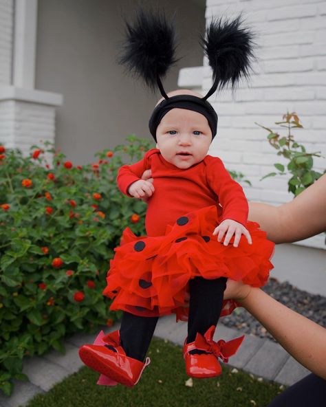 Baby Girl Halloween Costumes Diy, Toddler Ladybug Costume, Baby Ladybug Costume, Tutu Costumes Diy, Toddler Ruffle Pants, Diy Halloween Costumes For Girls, Halloween Tutu Costumes, Diy Girls Costumes, Ladybug Tutu