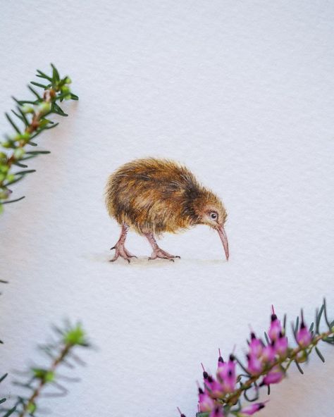 kiwi bird watercolor miniature art Close Up Art, Kiwi Bird, Boho Watercolor, Watercolor Bird, Craft Time, Miniature Art, Miniature Painting, Mini Art, Kiwi